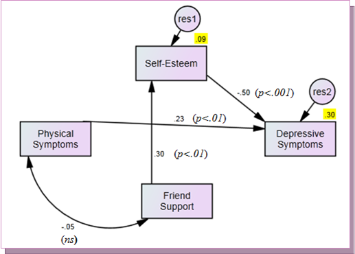 Results of the initial path model with combined family & friend support (R2 values are shaded) Note: ns = non-significant