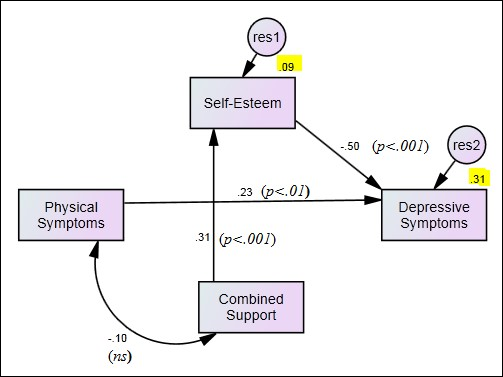 Results of the trimmed path model with combined family & friend support (R2 values are shaded)