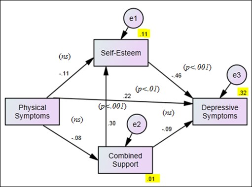 Results of friend support path model (R2 values are shaded)