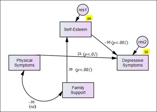 Results of family support path model (R2 values are shaded)