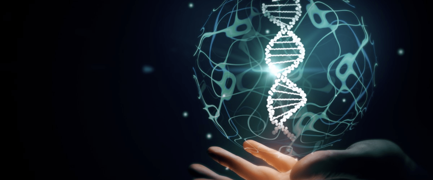 Open Access Pub an international peer-reviewed publisher