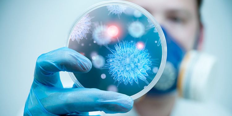 Article: Late Onset Meningitis in Post Traumatic Temporal                                            Meningoencephalocele