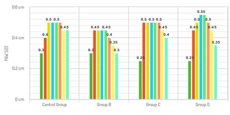 Article: Study of Anti-Inflammatory Effects of Black Cumin (Nigella Sativa) and Honey on Mice (Mus Musculus)