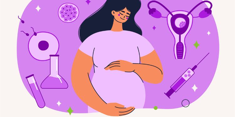 Article: The Heart Physiology in Fertile Female and The Heart Pathophysiology in Post Menopausal Female. The Contribution of Molecular Biology, Maintaining Cardiac Hemodinamy and Electrophysiology