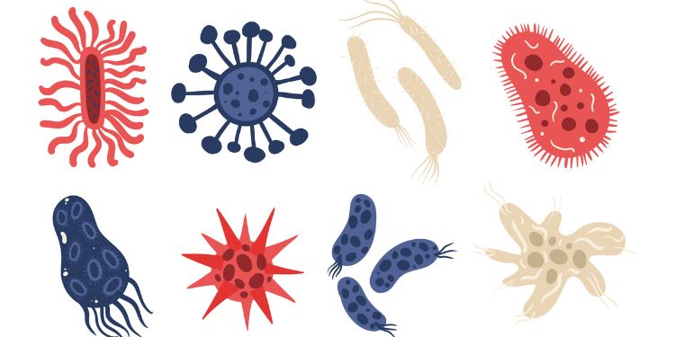 Article: Prevalence and Antifungal Susceptibility of Candida species from patients attending Rivers State University Teaching Hospital, Nigeria