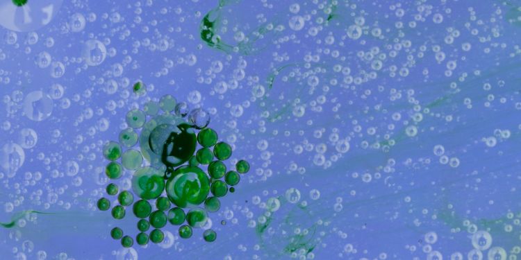 Article: Disruption of Hydrogen Bonding Network Decreases Catalytic Diversity of Chloroperoxidase via Abolishing Both Chlorination and Dismutation Activities