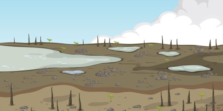 Journal of Water - Wetland encroachment