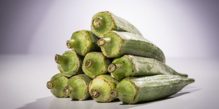 Article: Influence of Non-Contact-Based Spiritual Blessing Energy Treatment on Growth Metrics and Reproductive Productivity in Okra (Abelmoschus esculentus L.)
